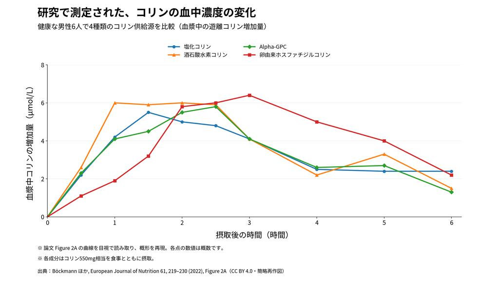 健康な男性6人を対象に、4種類のコリン供給源を摂取した後の血中濃度を比較